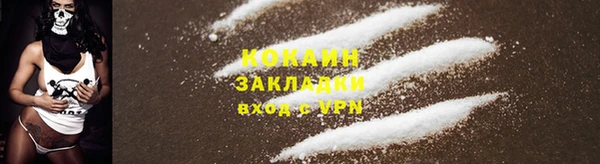 прущая мука Дмитриев