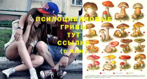 МДМА Абаза