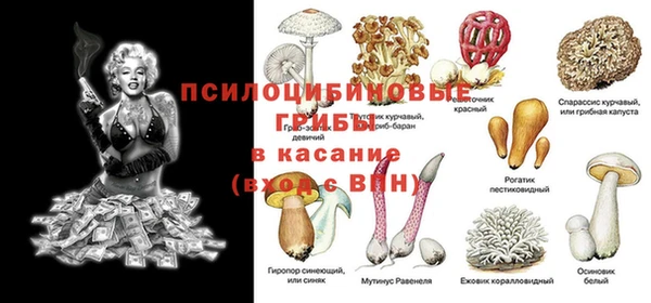 тгк Абинск